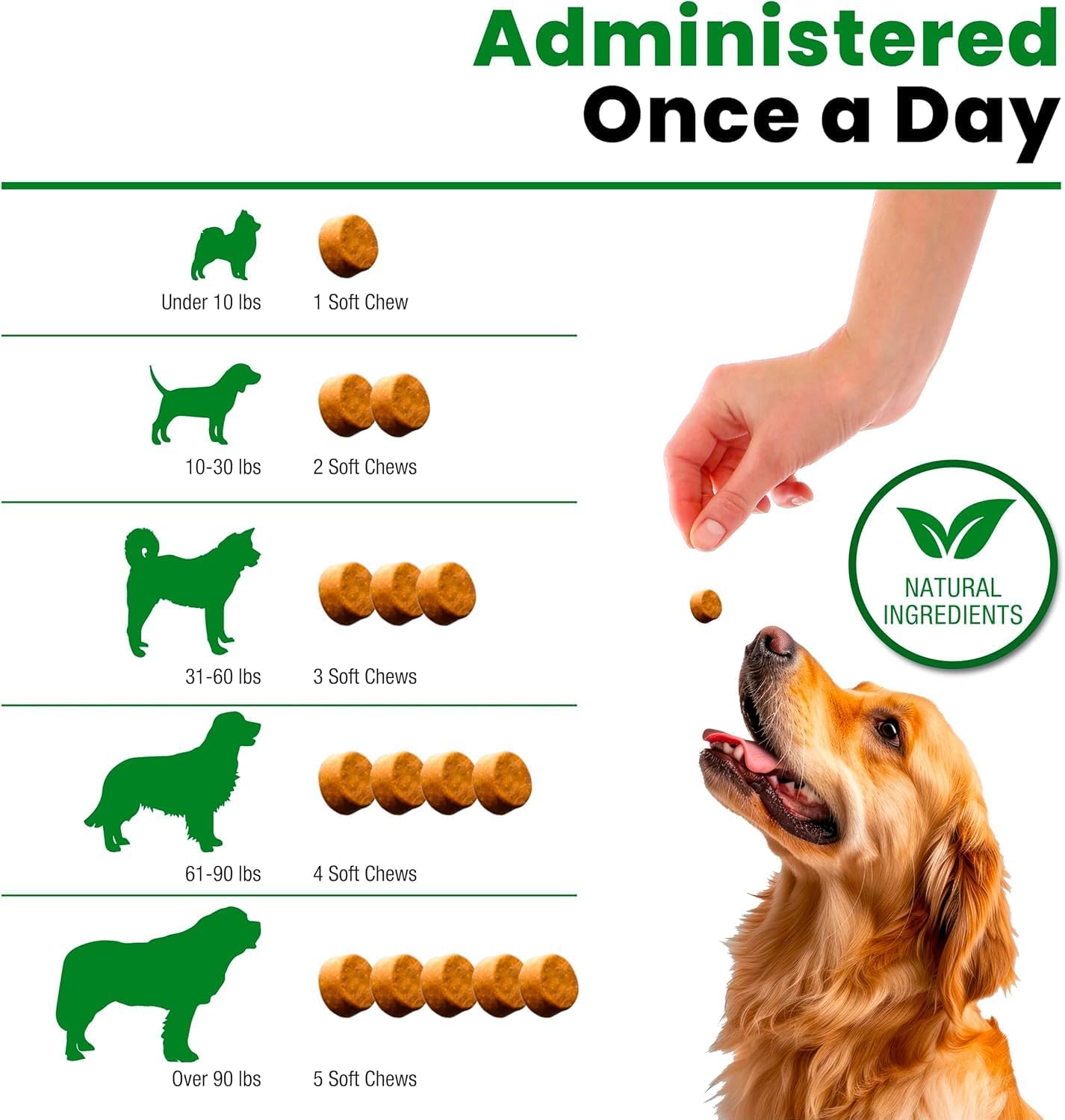 Flea & Tick Chews for Dogs – Herbal Blend for Natural Pest Defense & Immune Support – Vet Trusted – Safe for All Breeds – Made in the USA