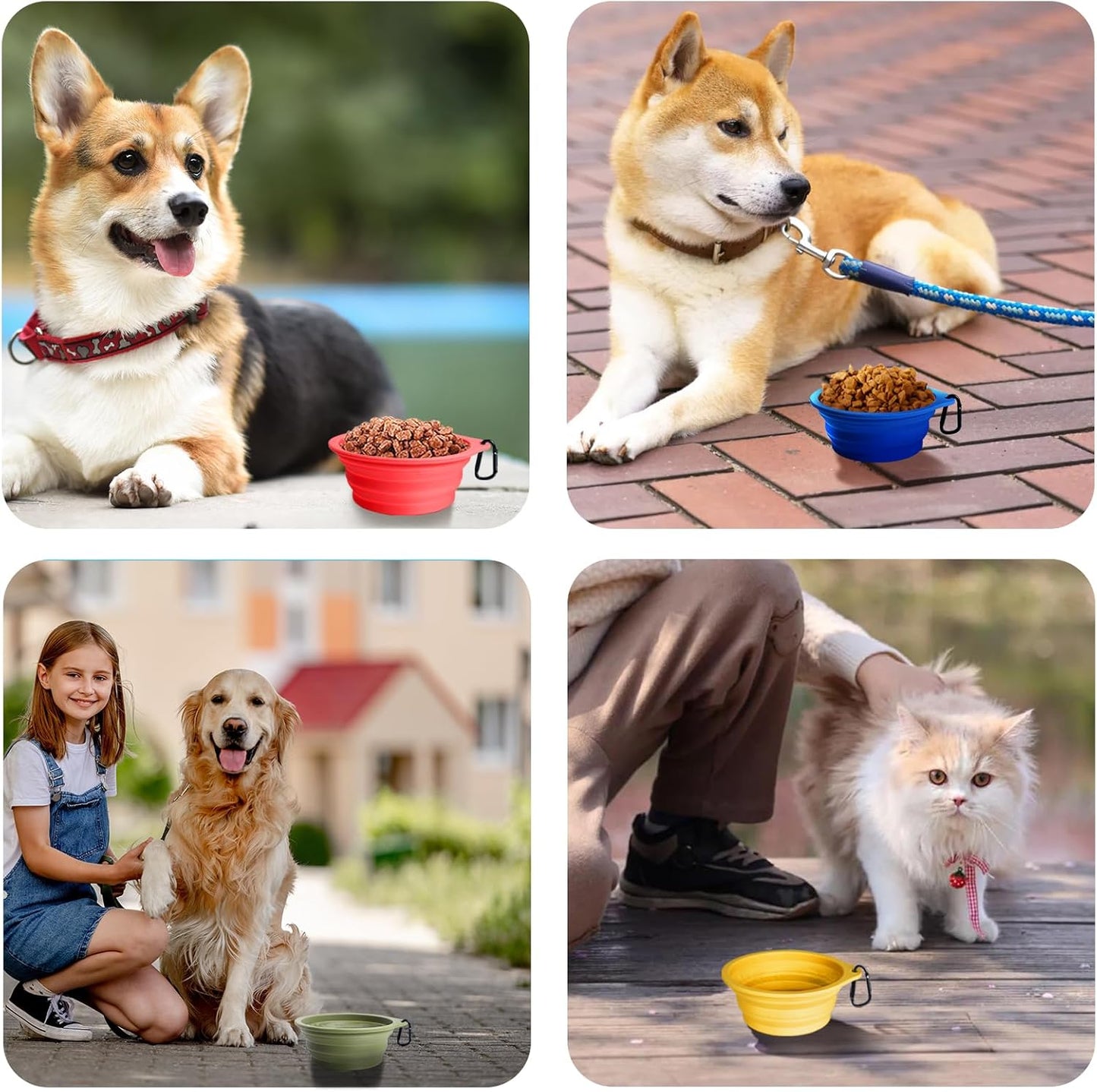 2-Pack Silicone Collapsible Dog Bowls, BPA Free Dishwasher Safe, Portable Foldable Expandable Travel Bowl, Food Water Feeding Cup Dish for Dogs Cats with 2 Carabiners (Army Green, Blue)