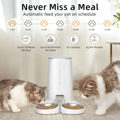 Automatic Cat Feeder Pet Smart Cat Food Kibble Dispenser Remote Control Wifi Button Auto Feeder for Cats Dog Accessories